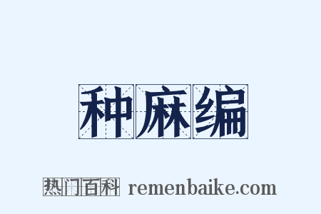 种麻编是什么意思的图片